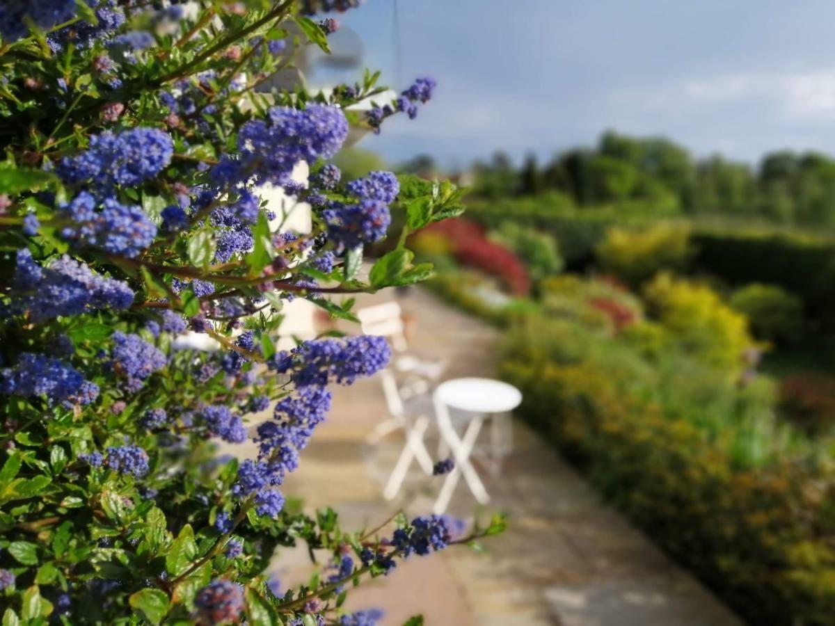 Meadow Cottage Bed & Breakfast Hawkhurst Exterior foto