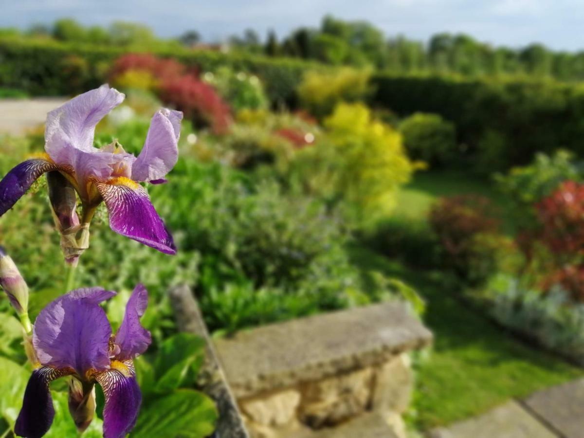 Meadow Cottage Bed & Breakfast Hawkhurst Exterior foto